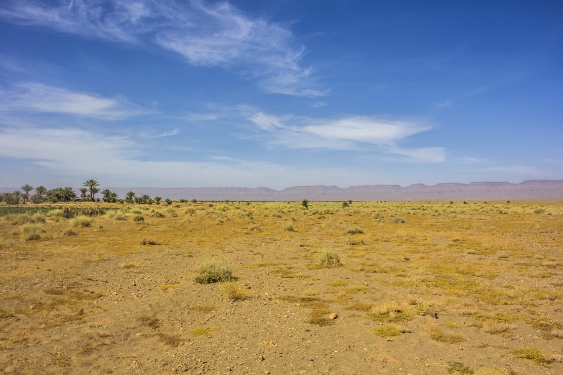 flat desert oasis in background