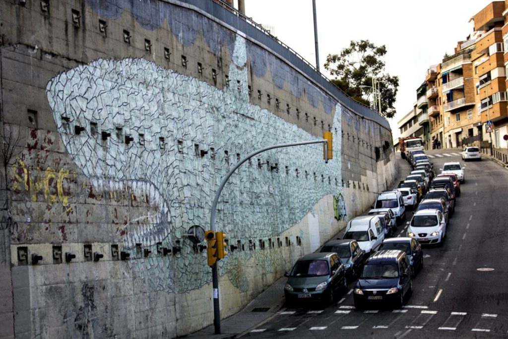 shark graffiti