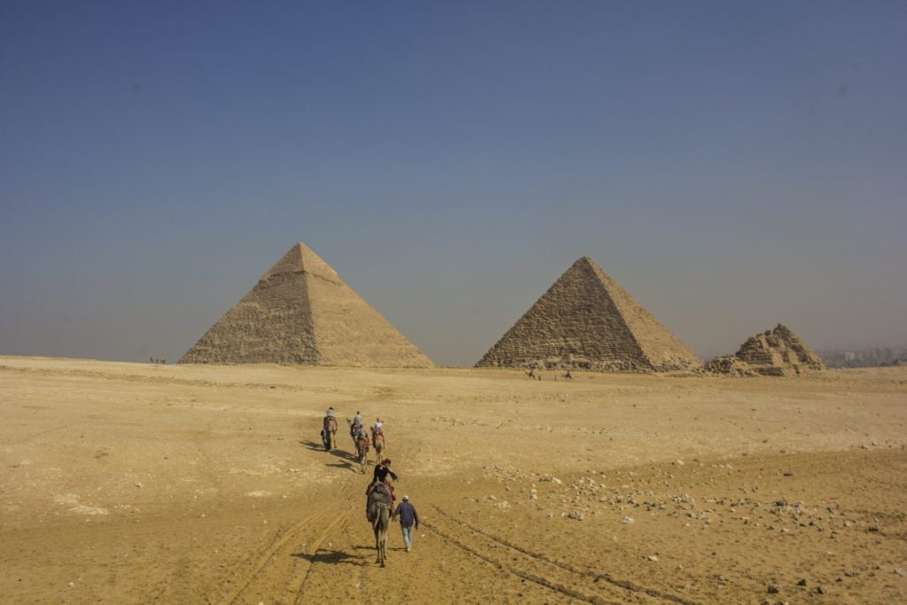 camels walking toward the pyramids of giza cairo travel talk tours egypt solo female travel